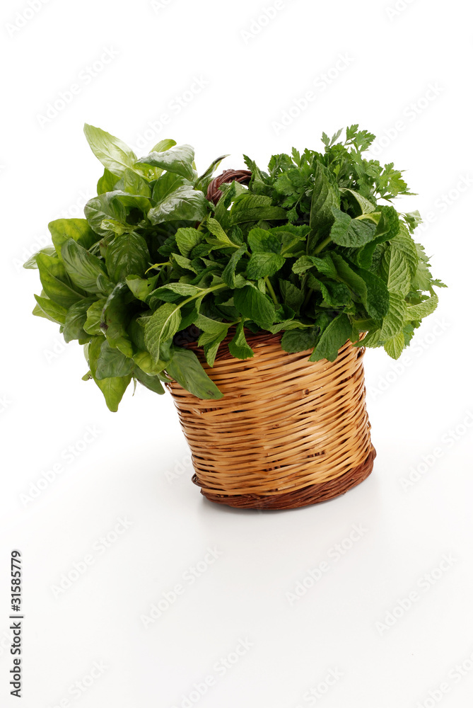 Naklejka premium BASILICO MENTA E ORIGANO