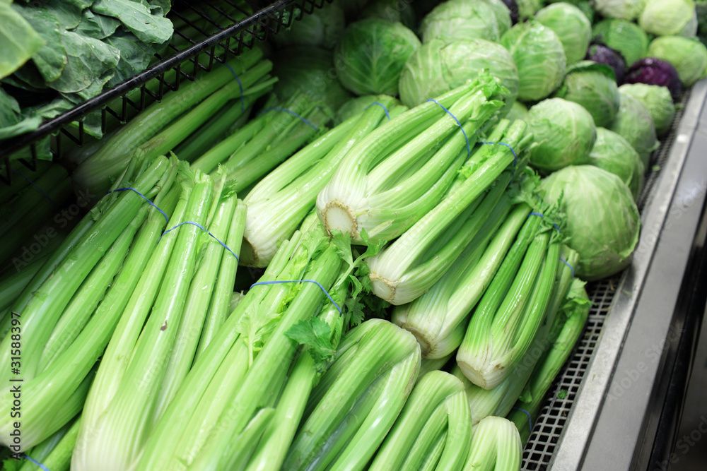 celery celery