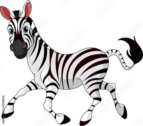 Fotografia Funny running   Zebra