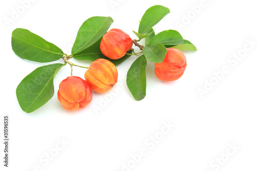 Slika na platnu Cherry; object on a white background