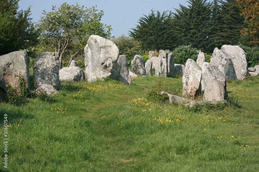 Alignements de menhirs de Kerzerho à Erdeven (Morbihan)