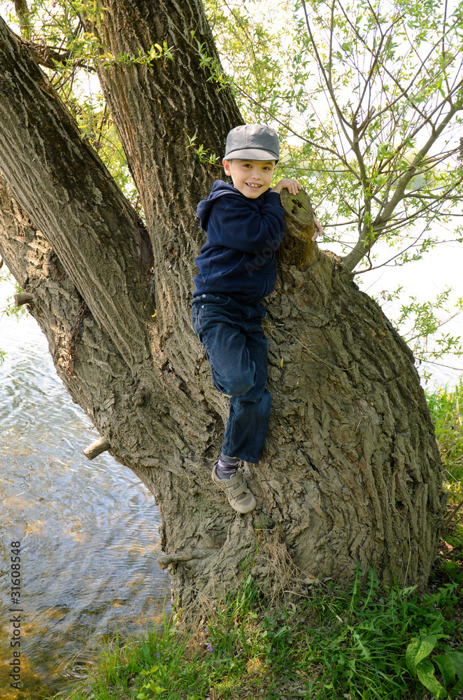 Naklejka premium Kind klettert auf knorrigen Baum