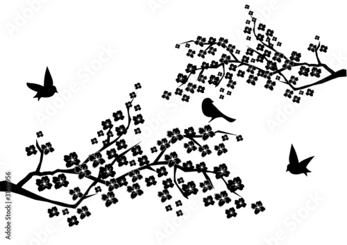 vector blossom branches with birds