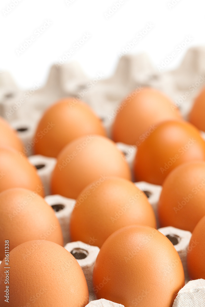 eggs in the package isolated on a white eggs in the package isolated on a white