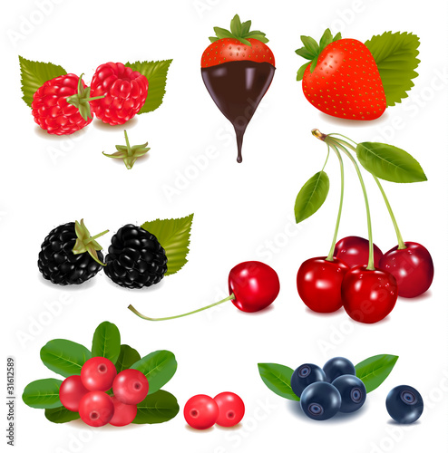 Group of berries with plant leaves. Vector illustration.
