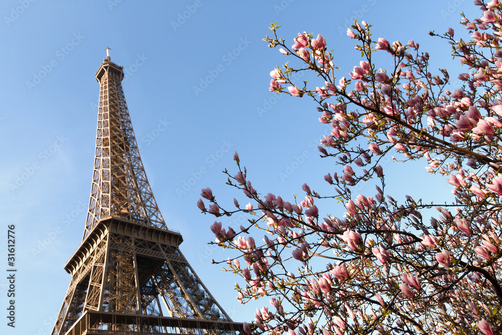 Spring By The Eiffel Tower
