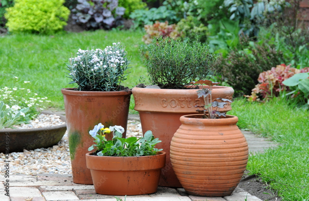 potted gardening