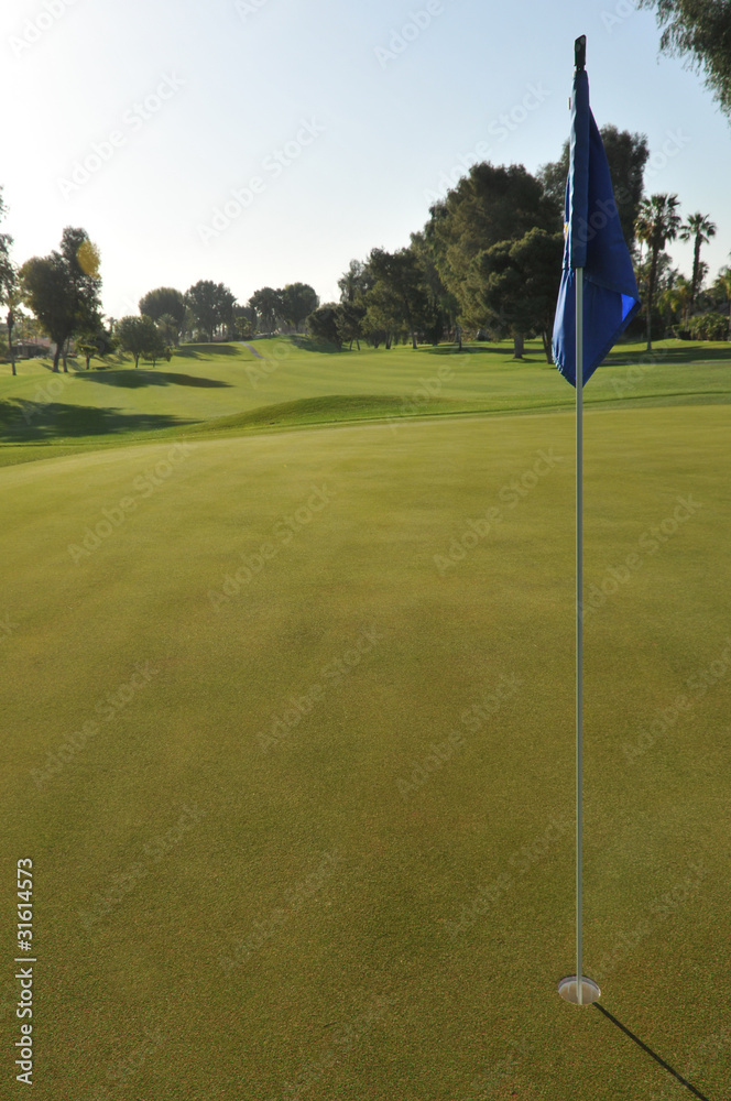 Obraz premium Golf green with flag in hole