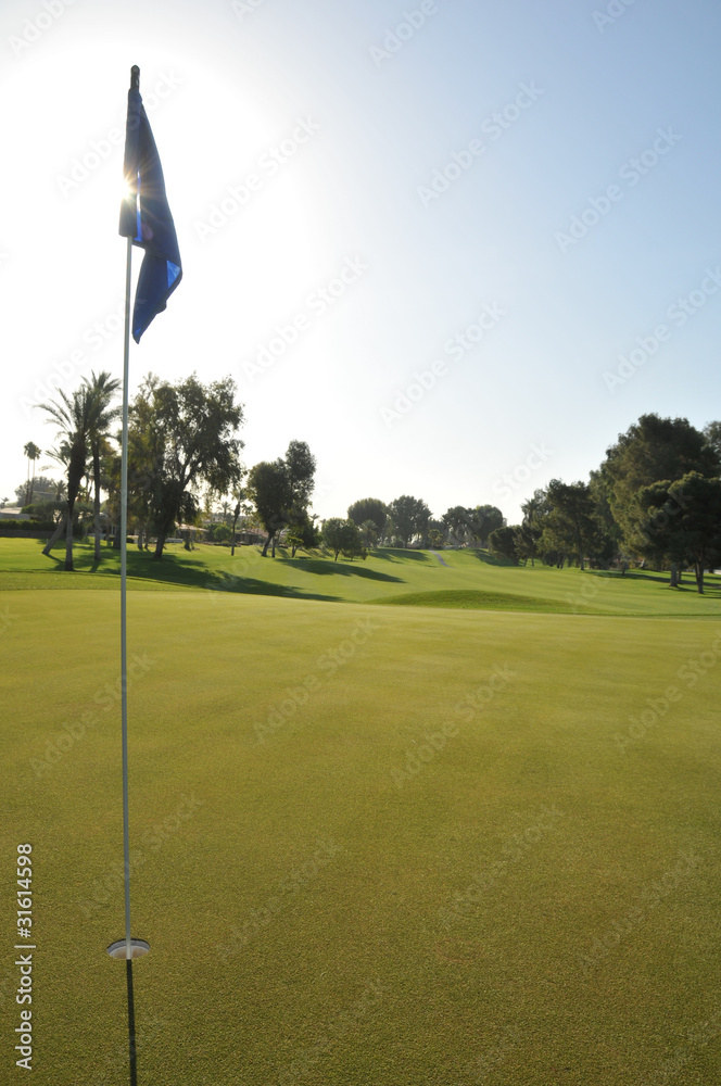 Obraz premium Golf green with flag in hole
