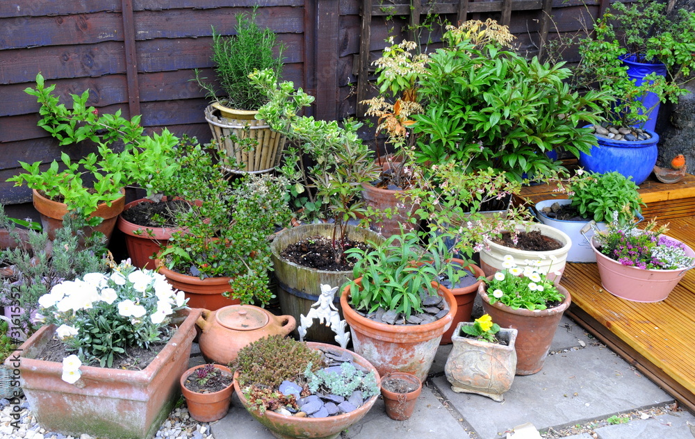 container garden