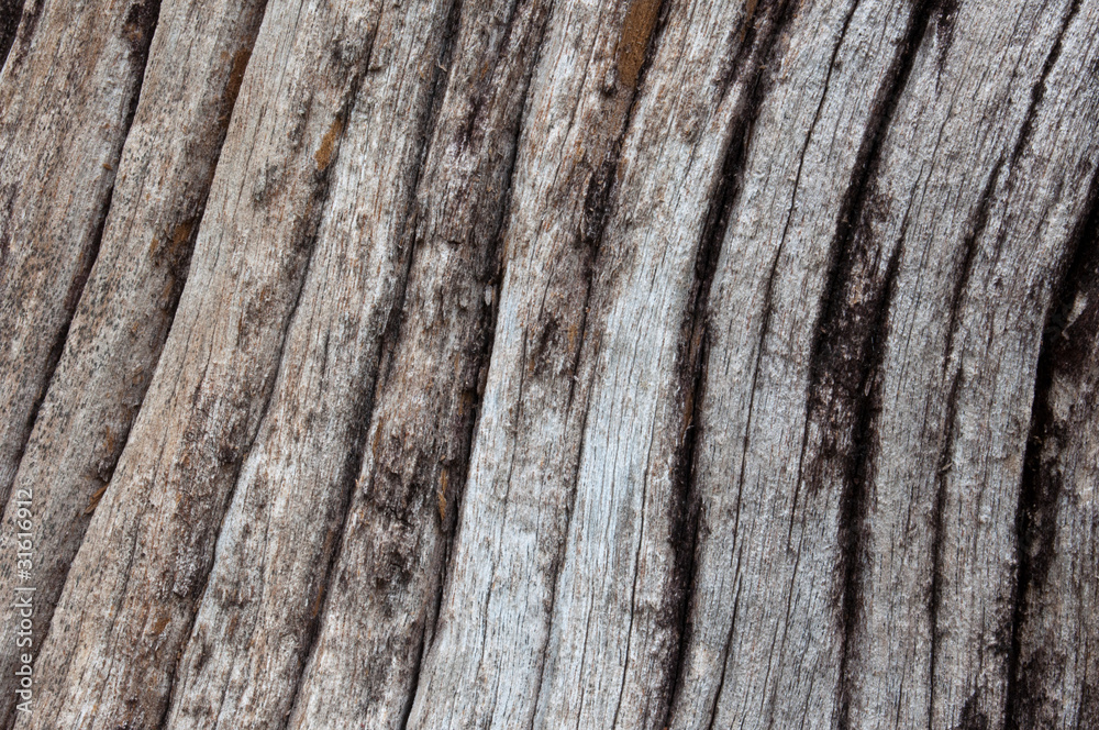 Fototapeta premium Old wood texture