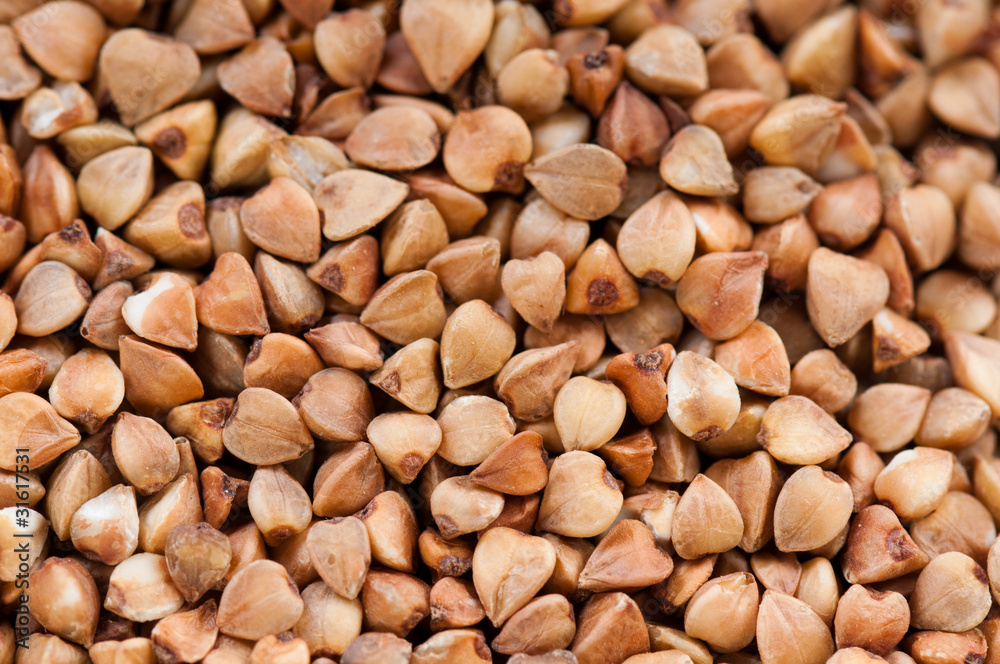 buckwheat texture buckwheat texture