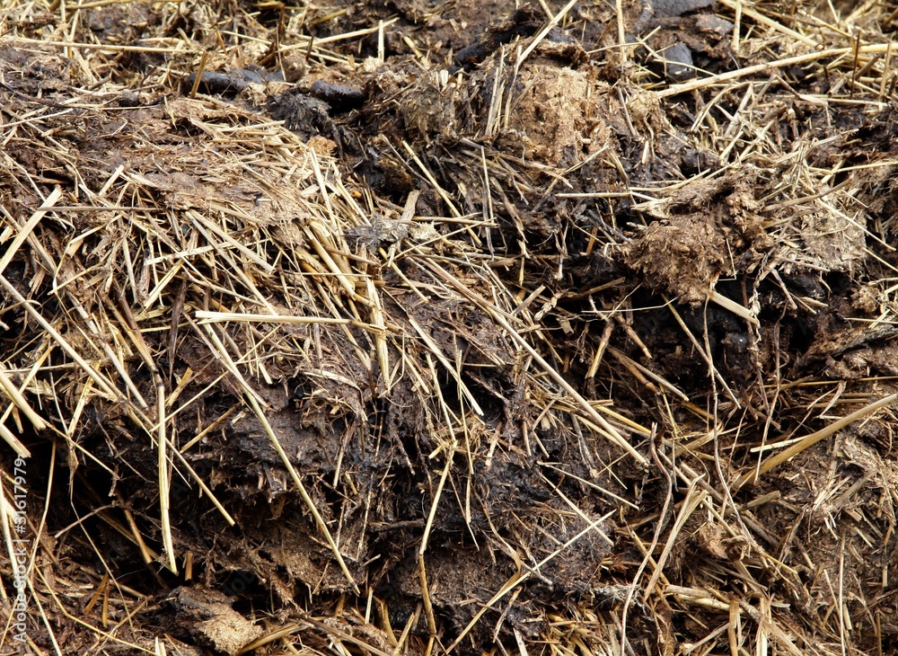 ecologic natural stable manure