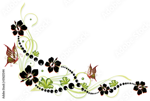 Hibiskus, hibiscus, Ranke, flora, Blumen, Blüten, bunt