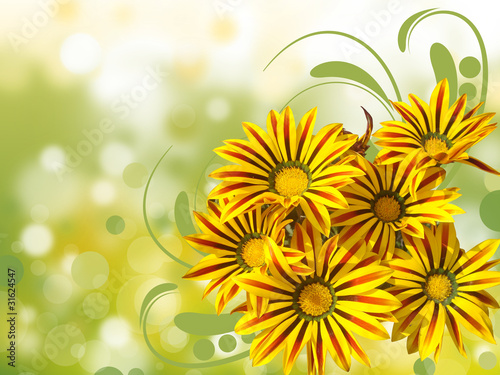 Floral Background Design Illustration