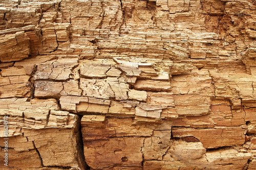 Rotten wood grungy texture