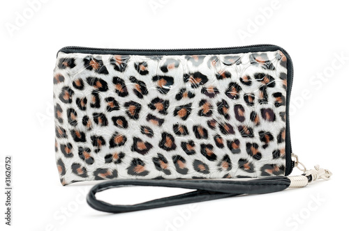 Decorative purse with zipper in varnished leopard design