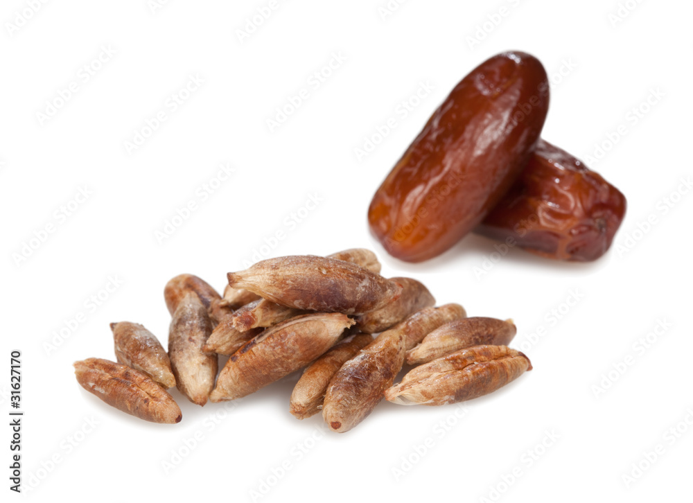 Date-stones and dates. Isolated on white background.