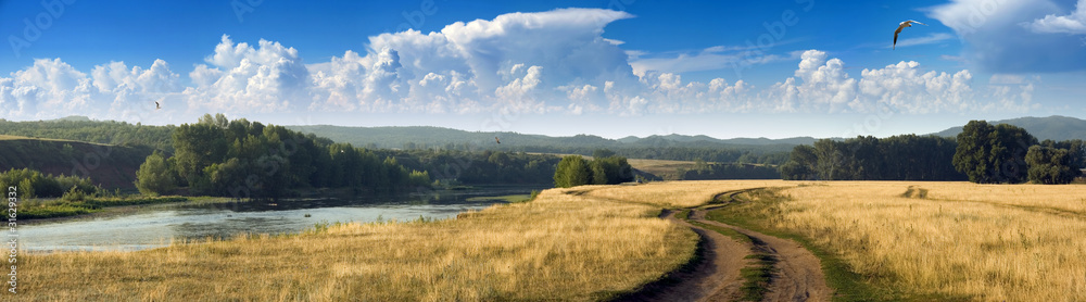 Panorama of the summer day with little river