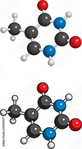 Thymine molecule