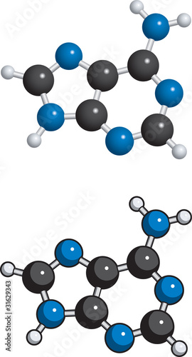 Adenine molecule