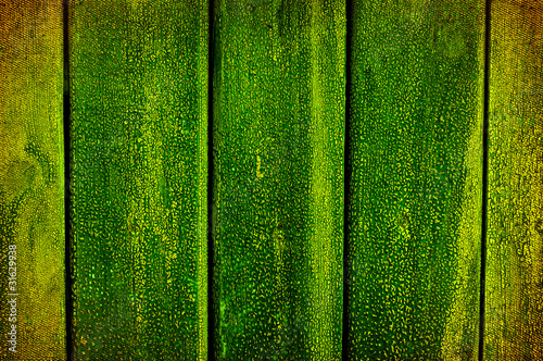 Abstract grunge background green boards.