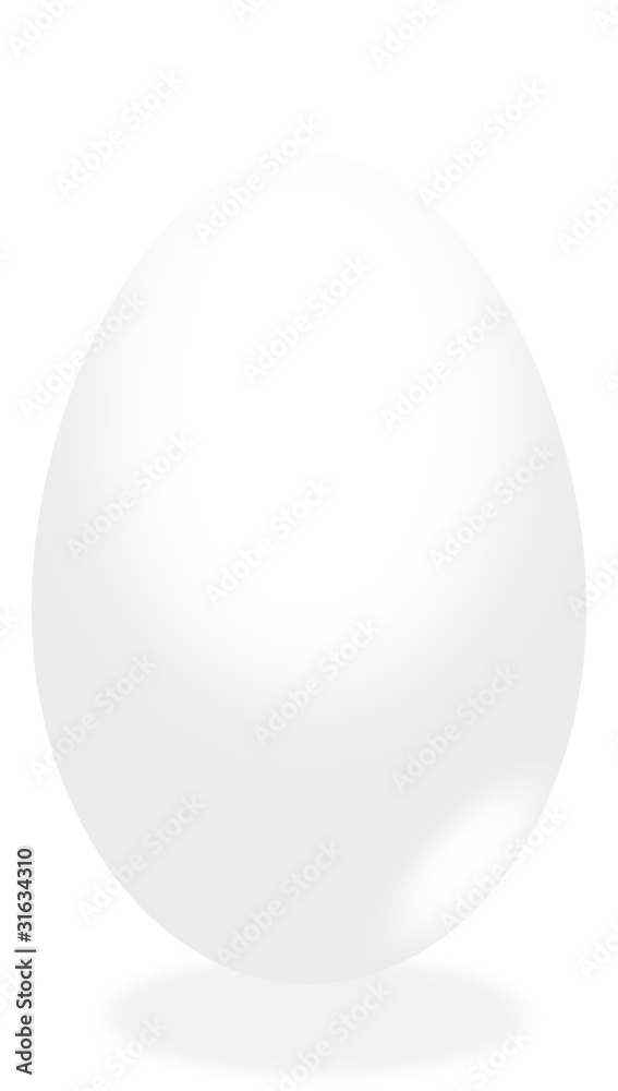White egg - obrazy, fototapety, plakaty 