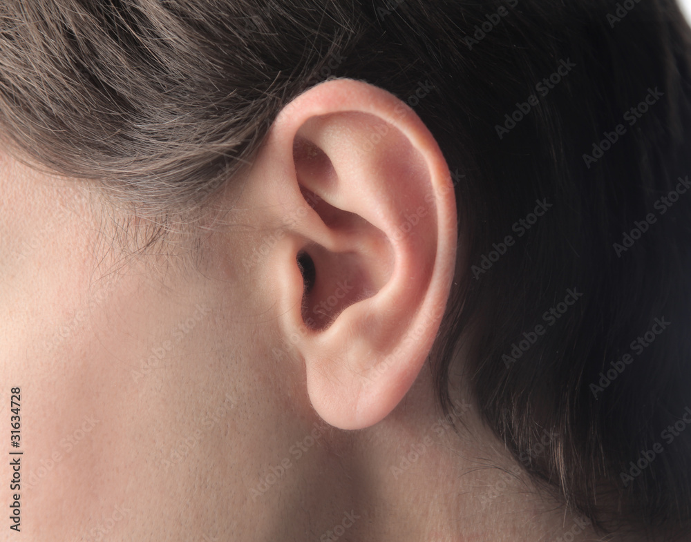 Obraz premium Ear