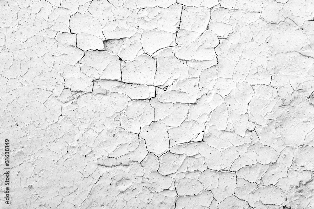 Fototapeta premium wall texture