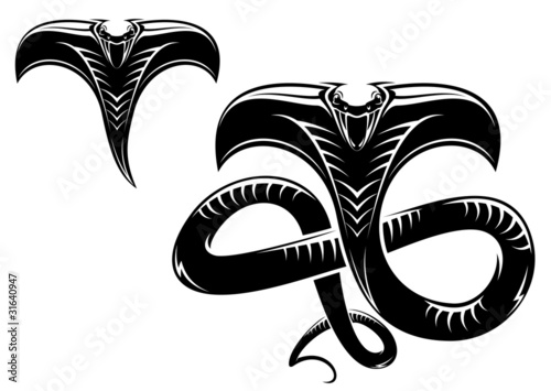 Snake tattoo