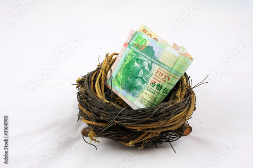 Photography hongkong dollor in nest