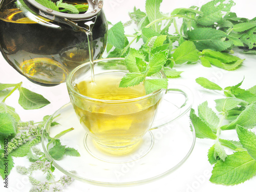 herbal tea with fresh mint herb