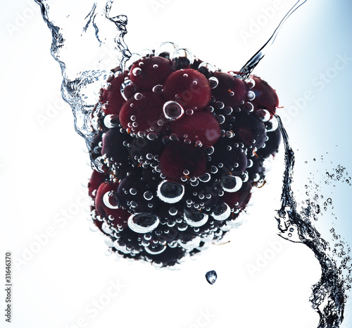 Beautiful splash