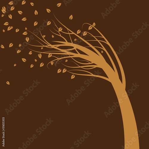 Wind Blown Tree