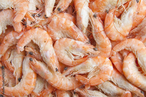 Shrimp background