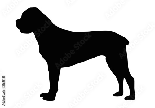 Silhouette of the dog