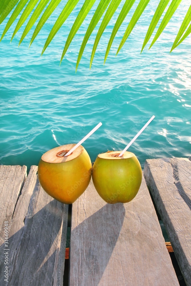 coconuts cocktail palm tree leaf in Caribbean coconuts cocktail palm tree leaf in Caribbean