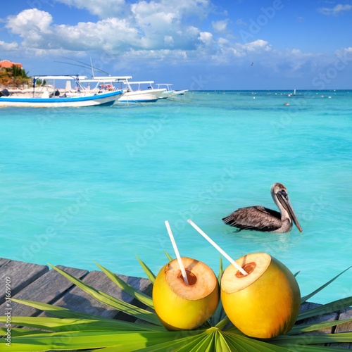 Caribbean fresh coconuts cocktail pelican swimming