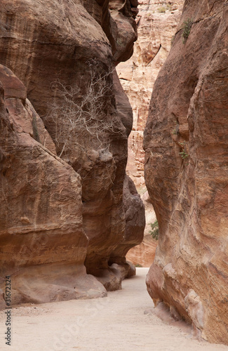 Schlucht in Petra