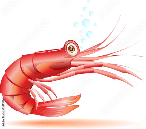 Gamberetto Gambero Cartoon-Shrimp Crayfish Cartoon-Vector