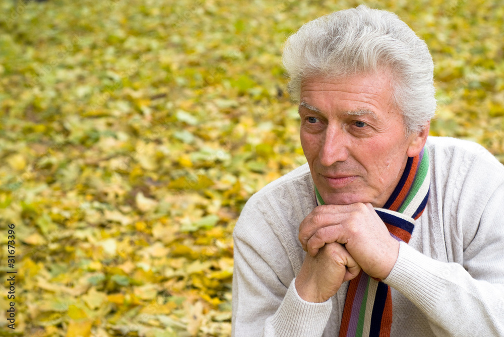 man in a autumn park man in a autumn park