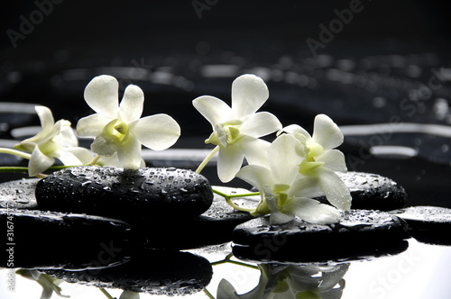 Zen stones and white orchids with reflection