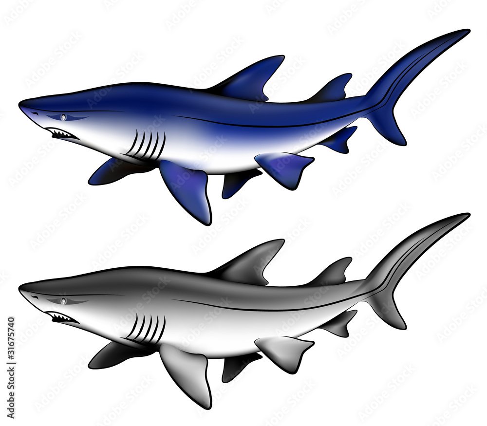 Vector sharks