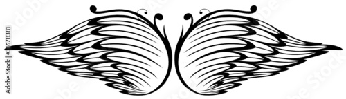 Flügel, Federn, Engel, wings, vector, schwarz