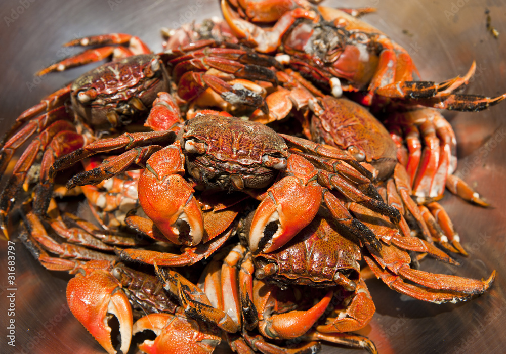 Steam crab for cooking in stainless bowl