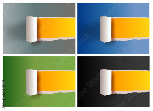 torn paper texture and place for your posts (vector)