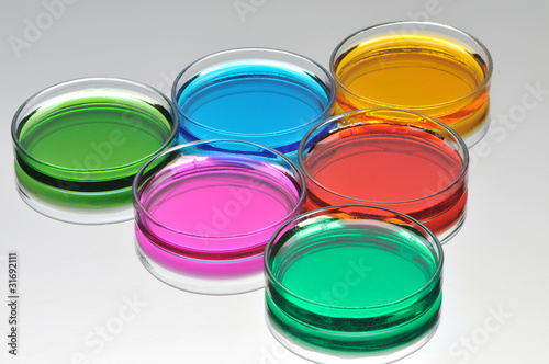 Petri dishes with color liquid photo