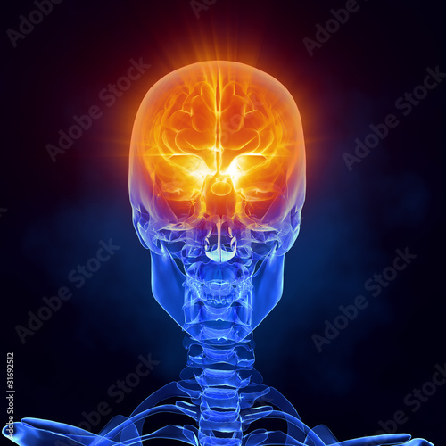 X-ray brain medical scan front view