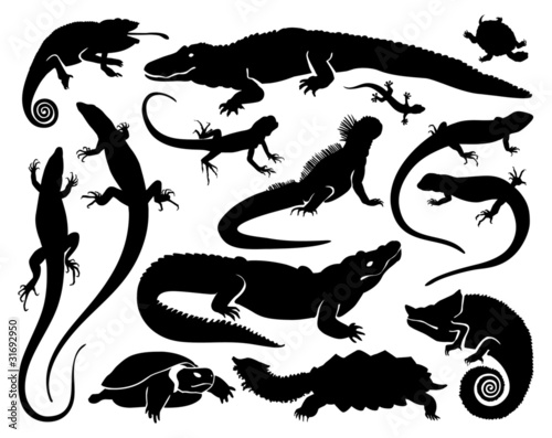 Reptiles