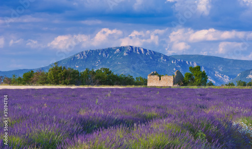 Windy afternoon in Provence